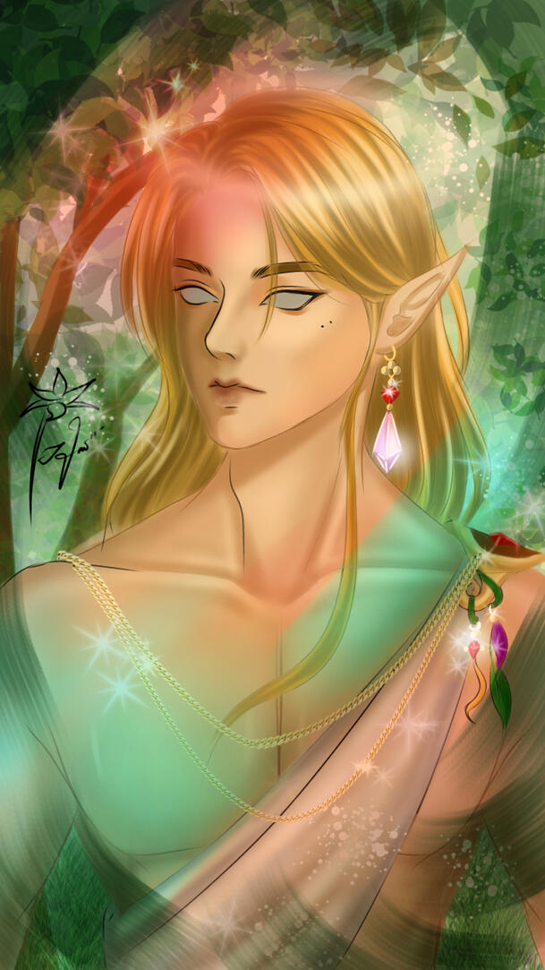 Lights of the Forest